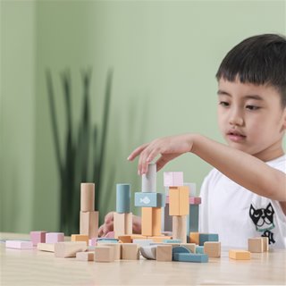 Blocks - 60 pieces